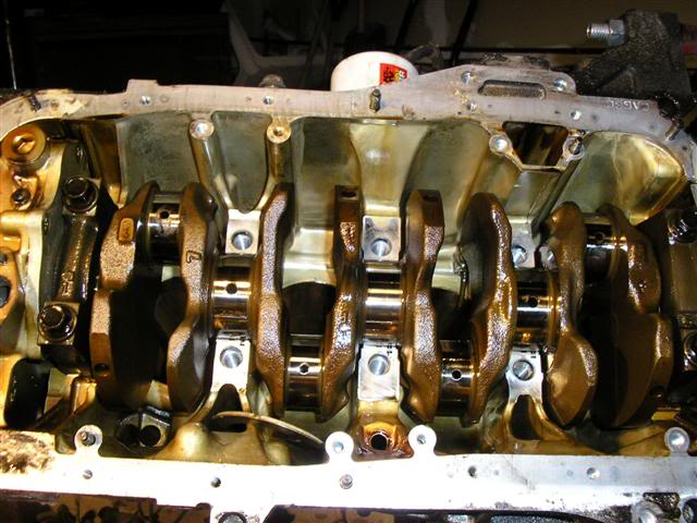 Name: P1010372Small.jpg
Views: 74
Size: 59.6 KB