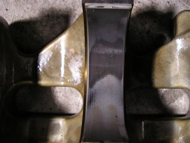 Name: P1010361Small.jpg
Views: 57
Size: 30.8 KB