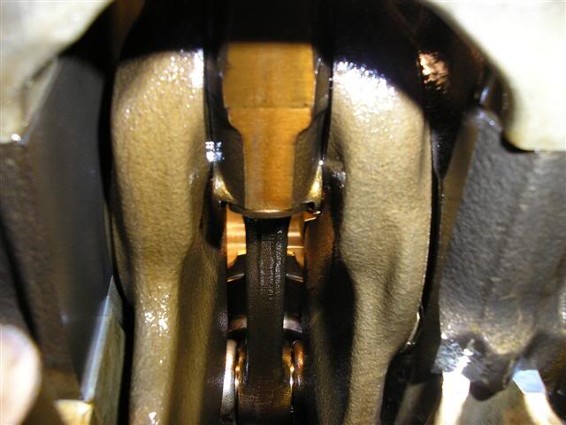 Name: P1010358Small.jpg
Views: 69
Size: 39.6 KB