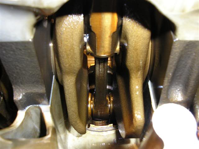 Name: P1010357Small.jpg
Views: 69
Size: 38.0 KB