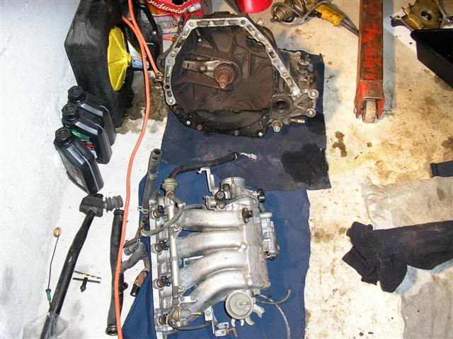 Name: P1010417Small.jpg
Views: 71
Size: 60.8 KB