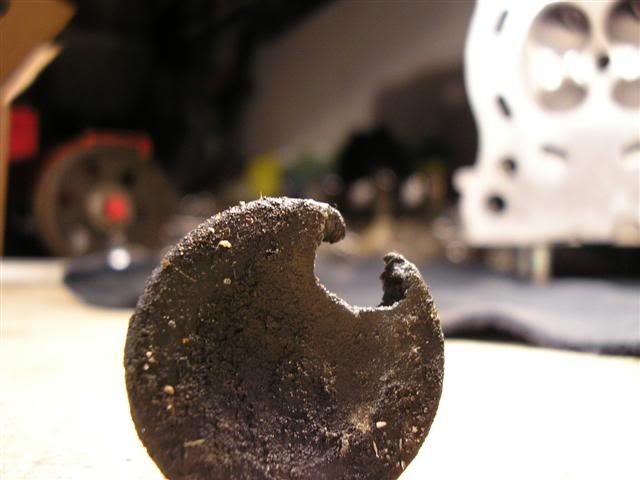 Name:  P1010503Small.jpg
Views: 18
Size:  30.8 KB