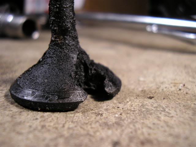 Name:  P1010502Small.jpg
Views: 17
Size:  36.2 KB