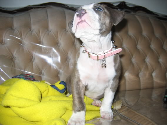 Name:  IMG_0701.jpg
Views: 15
Size:  40.0 KB