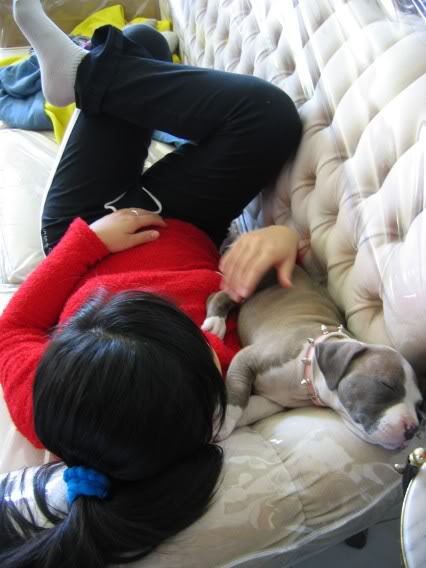 Name:  IMG_0671.jpg
Views: 15
Size:  39.9 KB