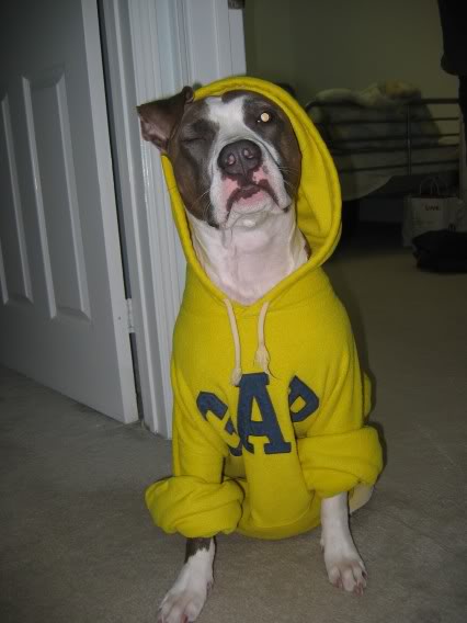 Name:  Picture668.jpg
Views: 12
Size:  30.8 KB