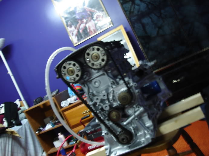 Name:  DSC00113.jpg
Views: 14
Size:  58.1 KB