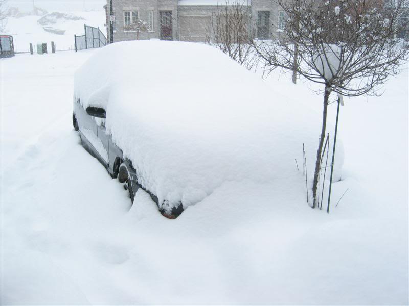 Name:  storm1.jpg
Views: 20
Size:  42.3 KB