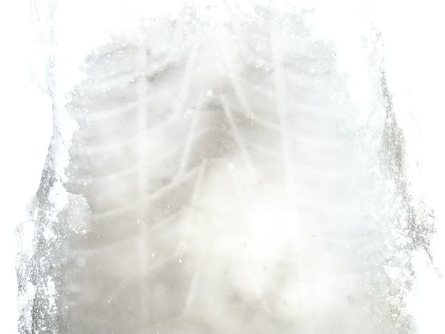 Name:  P1010513.jpg
Views: 18
Size:  29.9 KB