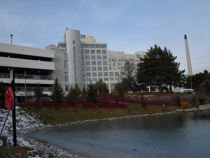 Name:  DSC00093.jpg
Views: 16
Size:  59.7 KB