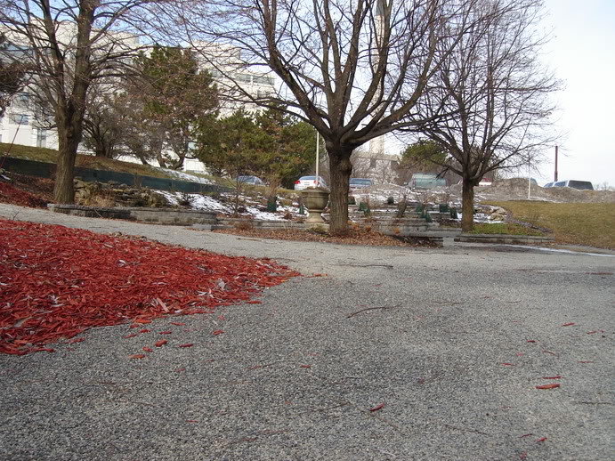 Name:  DSC00090.jpg
Views: 15
Size:  153.0 KB