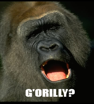 Name: gorilly.jpg
Views: 32
Size: 35.5 KB