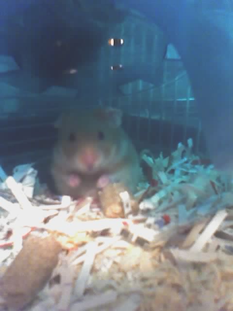 Name:  04-13-05_0425.jpg
Views: 17
Size:  22.1 KB