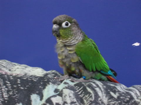 Name:  IMG_4820.jpg
Views: 17
Size:  23.7 KB