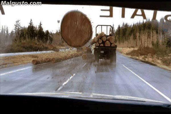 Name:  966.jpg
Views: 29
Size:  34.8 KB