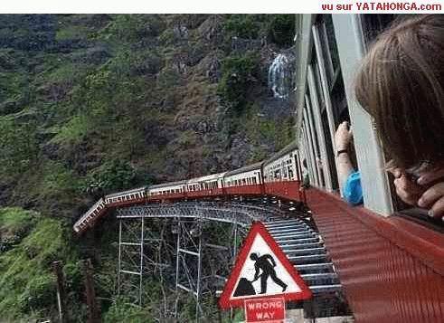 Name:  965.jpg
Views: 29
Size:  41.7 KB