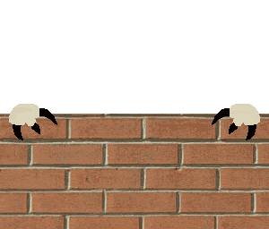 Name:  orlywall.gif
Views: 21
Size:  191.6 KB