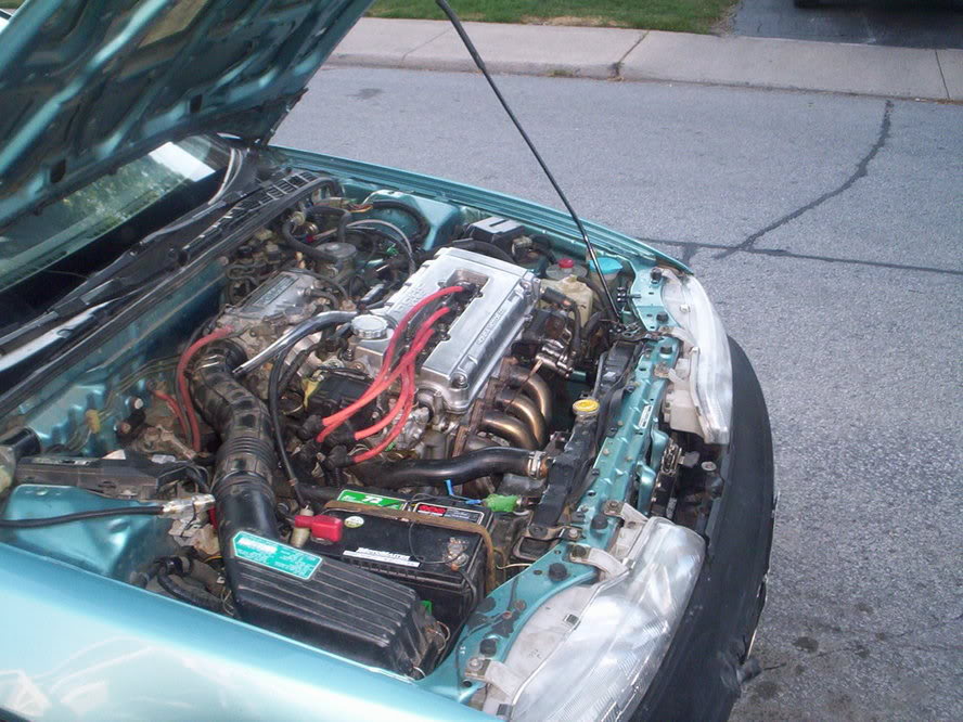 Name:  000_0569.jpg
Views: 23
Size:  127.8 KB