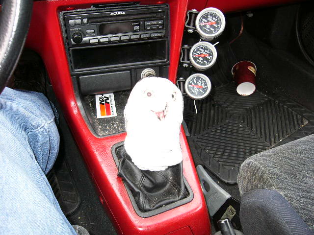 Name:  P1010393.jpg
Views: 54
Size:  63.0 KB