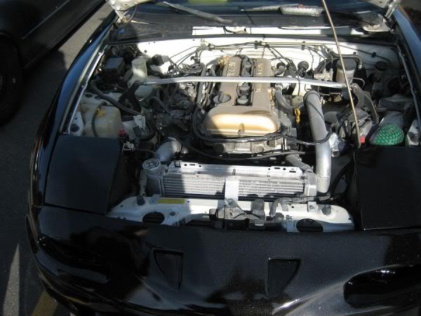 Name:  normal_Pxr320114.jpg
Views: 9
Size:  46.7 KB