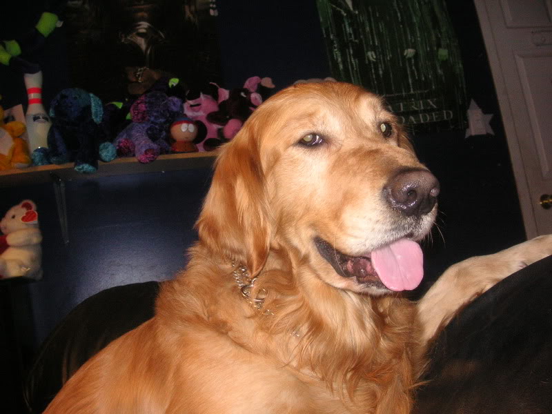 Name:  Pictures209.jpg
Views: 14
Size:  79.5 KB