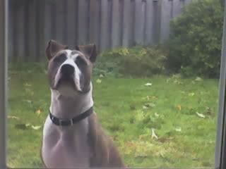 Name:  28-10-05_1449.jpg
Views: 16
Size:  11.2 KB