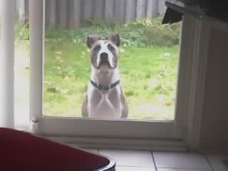 Name:  28-10-05_1448.jpg
Views: 16
Size:  10.9 KB