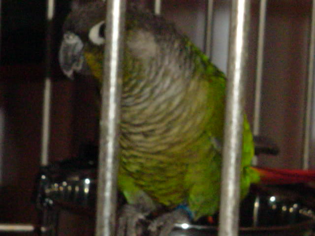 Name:  random014.jpg
Views: 18
Size:  38.6 KB