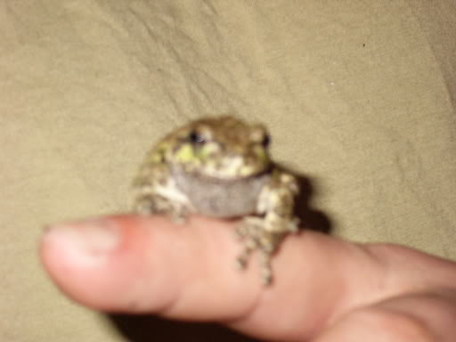 Name:  P1000838.jpg
Views: 17
Size:  18.6 KB