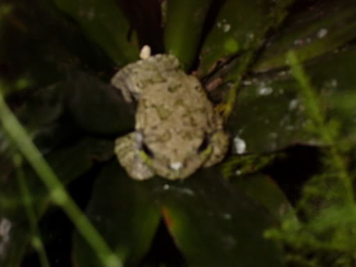 Name:  P1000847.jpg
Views: 15
Size:  18.0 KB