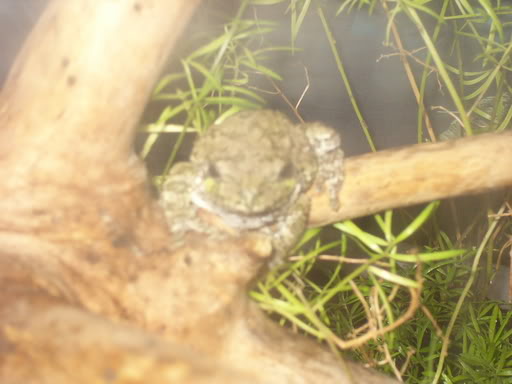 Name:  P1000843.jpg
Views: 17
Size:  29.6 KB