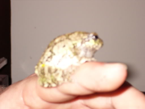 Name:  P1000839.jpg
Views: 15
Size:  14.8 KB