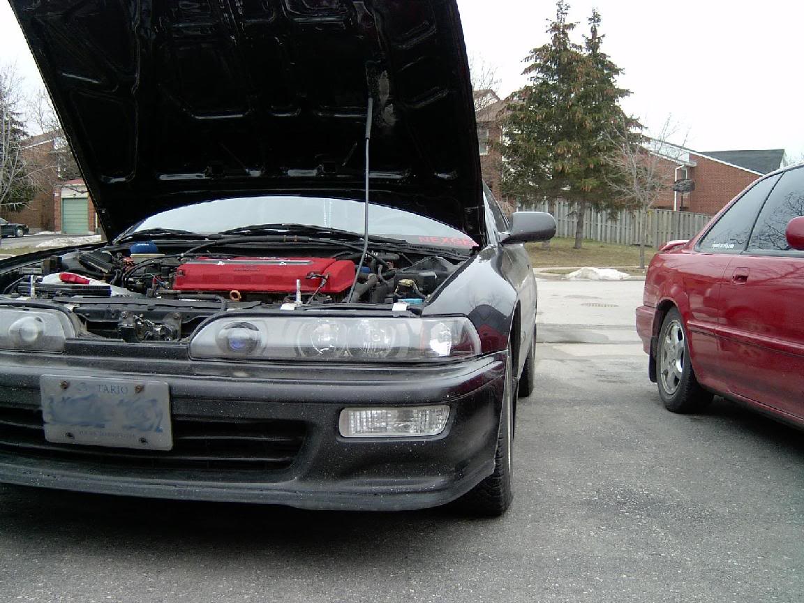 Name:  IM000053.jpg
Views: 111
Size:  162.0 KB