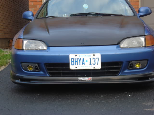 Name: DSC06980.jpg
Views: 39
Size: 38.9 KB