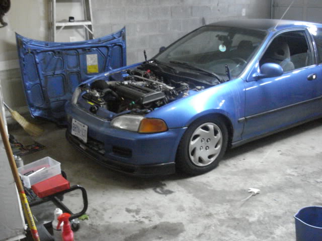 Name: DSC06946.jpg
Views: 34
Size: 51.7 KB