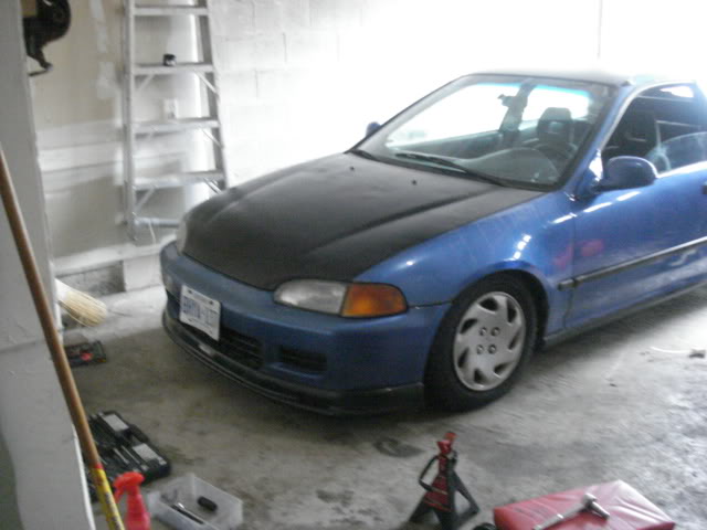 Name: DSC06949.jpg
Views: 31
Size: 39.2 KB