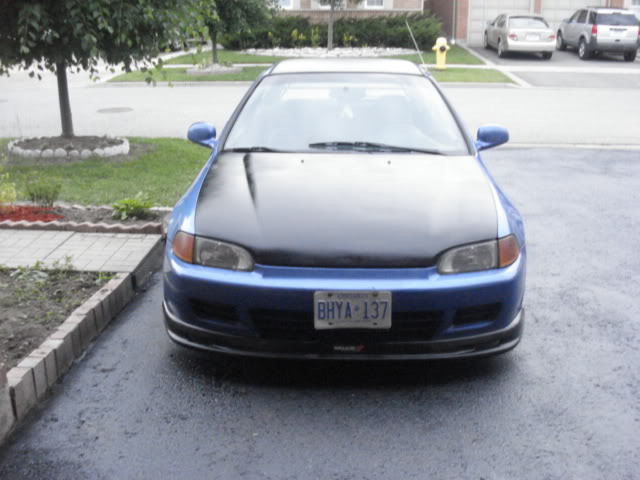 Name: DSC06952.jpg
Views: 29
Size: 47.5 KB