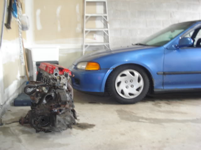 Name: DSC06888.jpg
Views: 35
Size: 34.4 KB