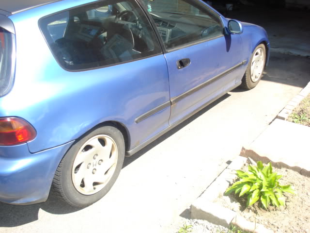 Name: DSC06909.jpg
Views: 35
Size: 48.7 KB