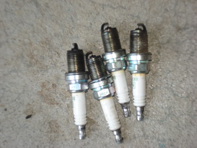 Name: DSC06921.jpg
Views: 30
Size: 46.8 KB