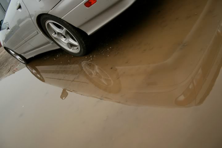 Name:  253582_10150200063407273_656017272_7260689_5772136_n.jpg
Views: 25
Size:  23.0 KB