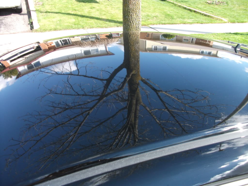 Name: DSCF1465.jpg
Views: 87
Size: 129.6 KB