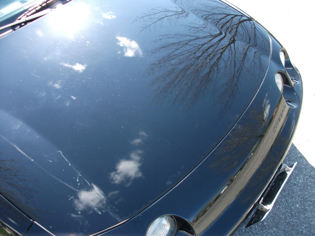 Name: DSCF1472.jpg
Views: 67
Size: 112.0 KB