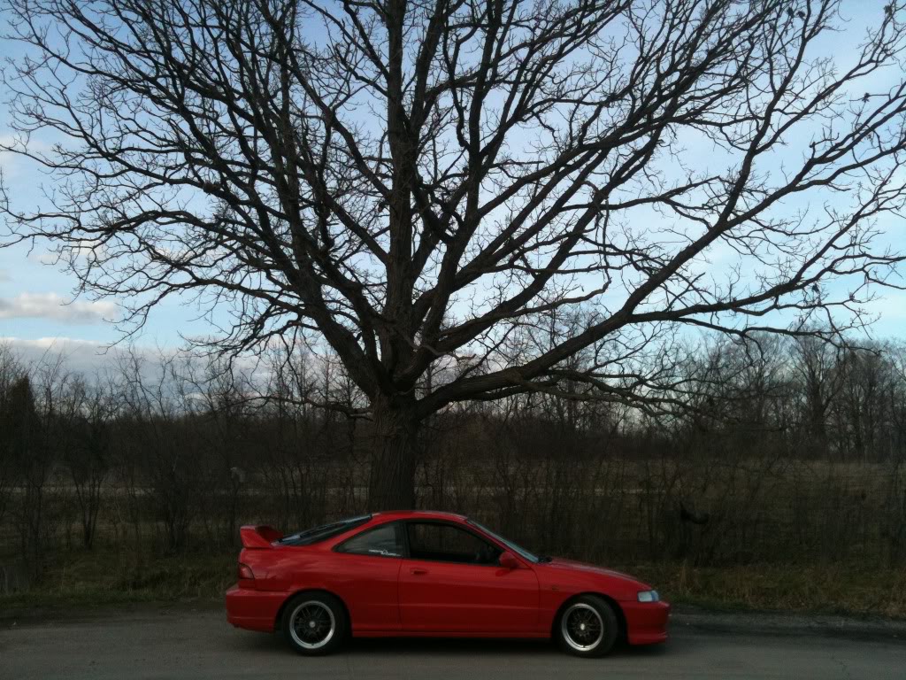 Name:  Picture167.jpg
Views: 52
Size:  236.6 KB