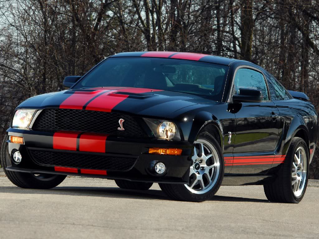 Name:  ford-mustang-shelby-gt500-red-stripe-2007-03.jpg
Views: 34
Size:  156.5 KB
