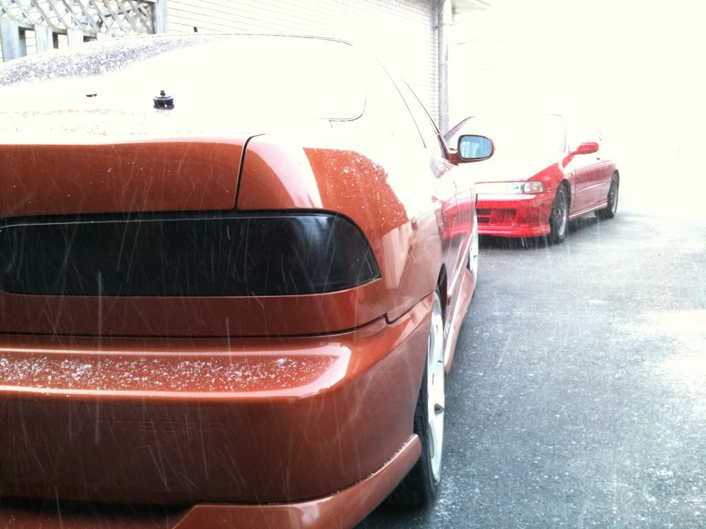 Name:  Picture048-1.jpg
Views: 68
Size:  118.2 KB