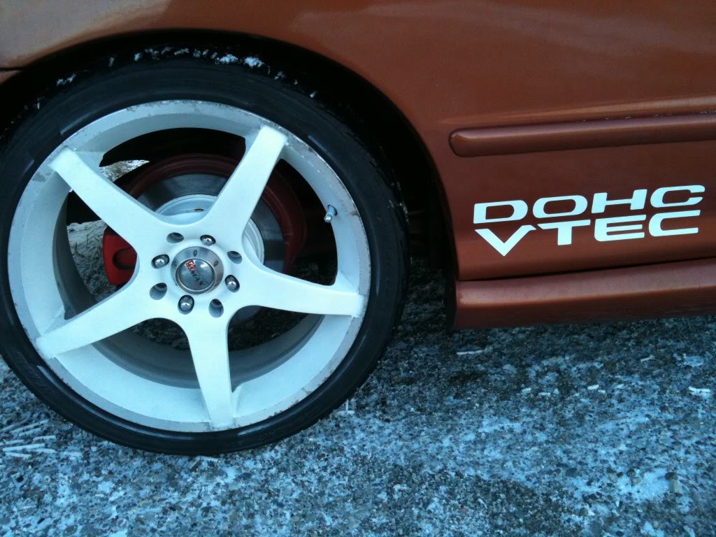 Name:  Picture067-1.jpg
Views: 52
Size:  156.8 KB